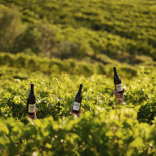 Load image into Gallery viewer, 2023 Malval Vigna Dol