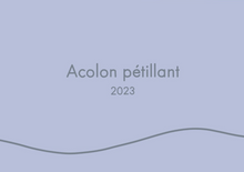 Load image into Gallery viewer, 2023 Acolon Pétillant (Contract brewed in 10R Winery)