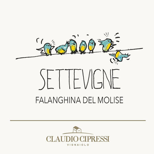 (white) 2022 Terre degli Osci IGP Falanghina Settevigne
