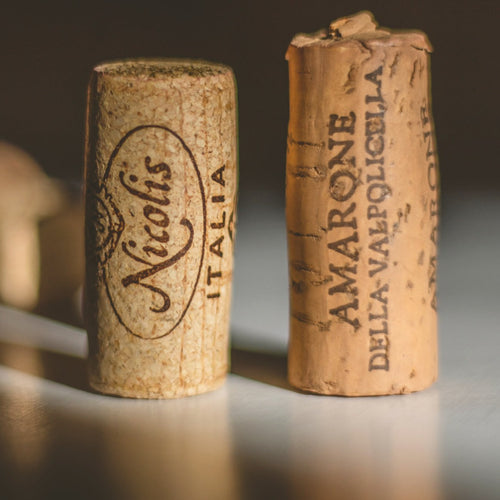 2019 Amarone, Amarone della Valpolicella Classico DOCG