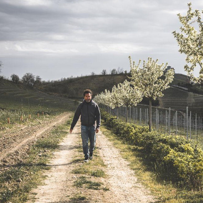 2017 Barbera d'Alba DOC Zio Nando