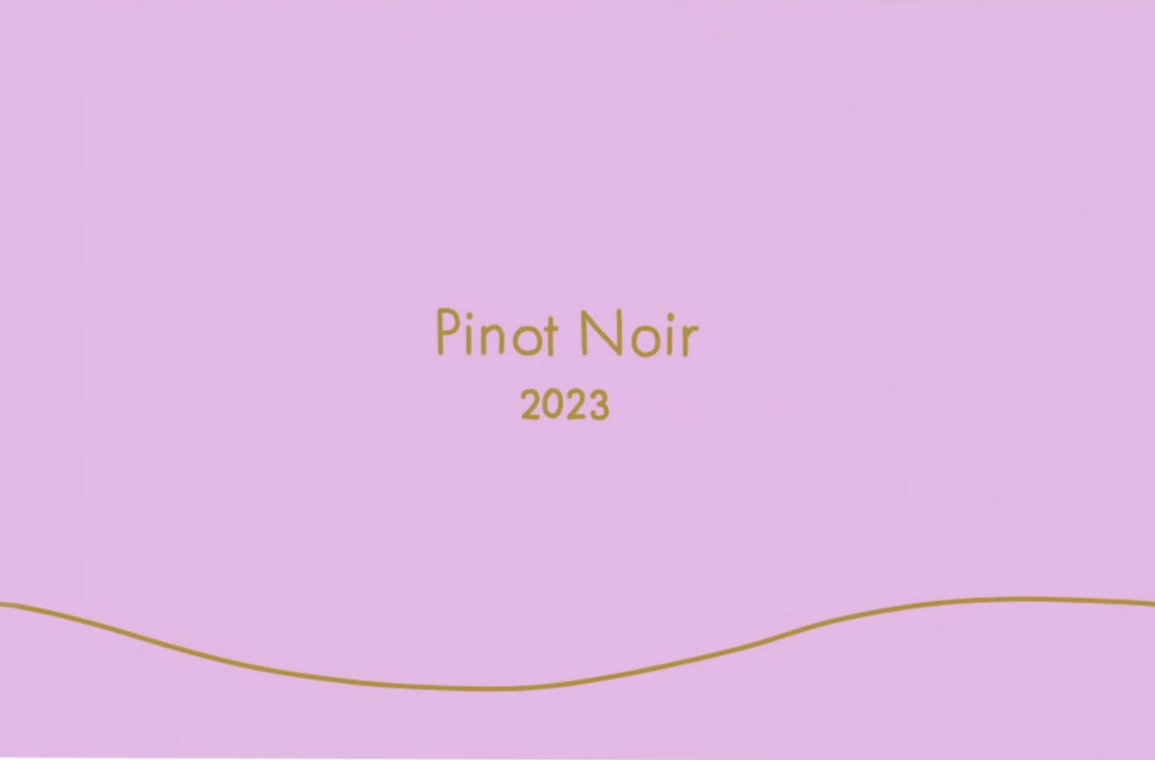 2023 Pinot Noir (Contract brewed in 10R Winery)