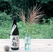 Load image into Gallery viewer, 五人娘, 純米 無濾過 生酛 | GONIN MUSUME, Junmai Muroka Kimoto (1,800 ml)