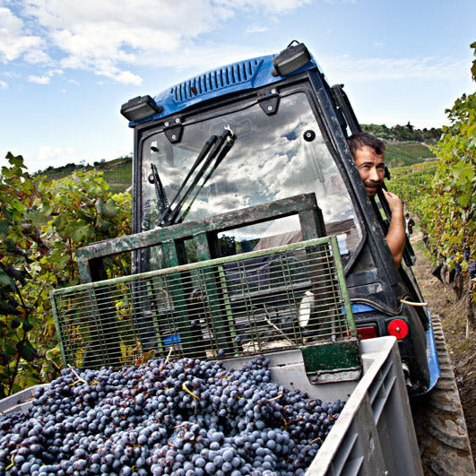 2019 Cottà, Barbaresco DOCG