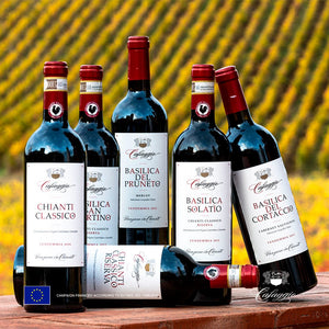 2019 Chianti Classico Riserva DOCG