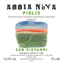 Load image into Gallery viewer, 2019 Piglio DOCG Superiore, San Giovanni (single vineyard red)