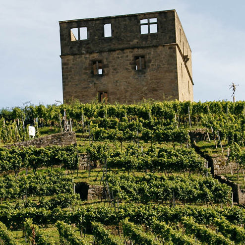 2021 Stetten Riesling, Nikolauslese Trocken VDP Erste Lage