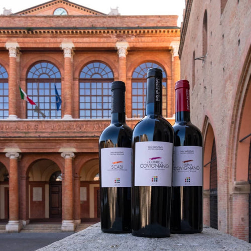 2017 Terra de Covignano, Romagna Sangiovese DOC, Superiore Riserva