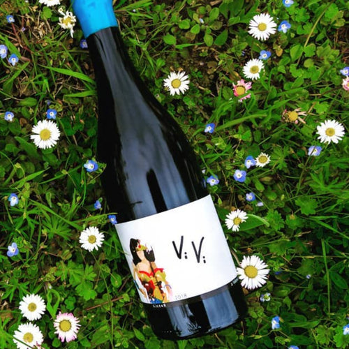 2018 Vivi, Rebola Secco, Colli di Rimini DOC