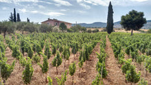 Load image into Gallery viewer, 2017 Liama, Terre Siciliane Rosso IGP