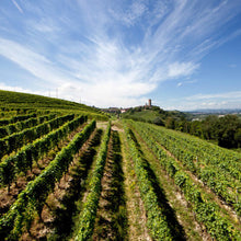 Load image into Gallery viewer, 2014 Ovello Vigna Loreto, Barbaresco DOCG